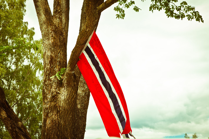 2012-06-28 - Områdesbilder från Peace & Love, Borlänge