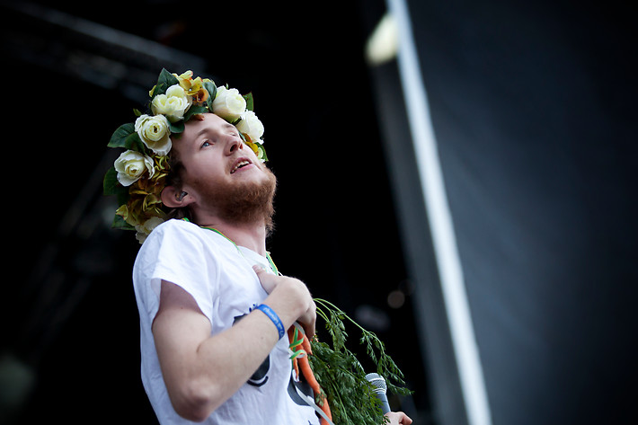 2012-06-28 - Den Svenska Björnstammen at Peace & Love, Borlänge