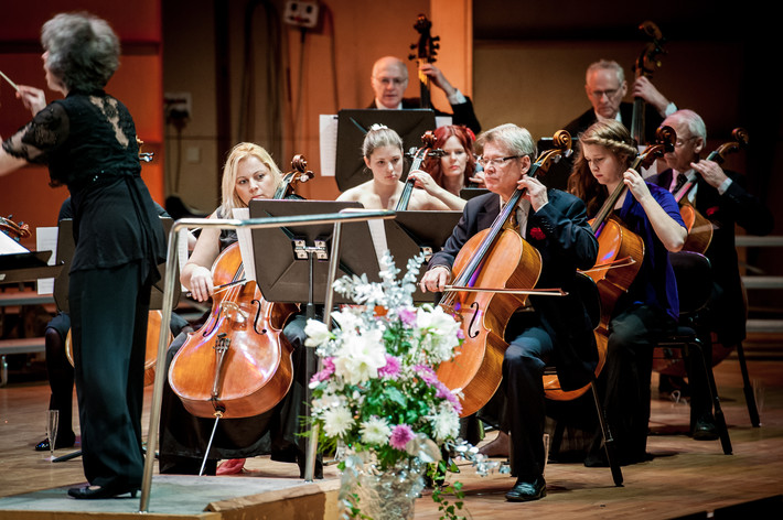 2013-01-05 - Växjö Stads Symfoniorkester från Växjö konserthus, Växjö