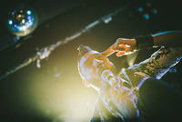2012-10-30 - Caliban at Kulturbolaget, Malmö